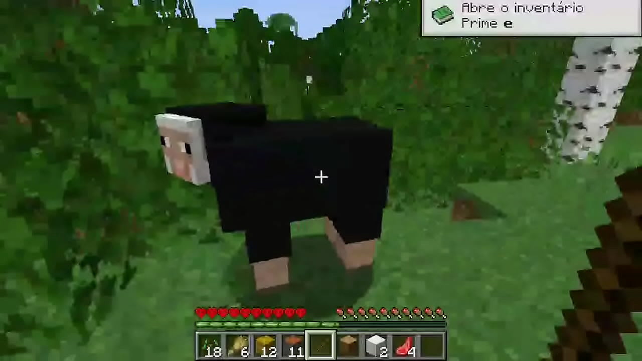 Novinho fazendo gameplay de Minecraft gostoso hardcore