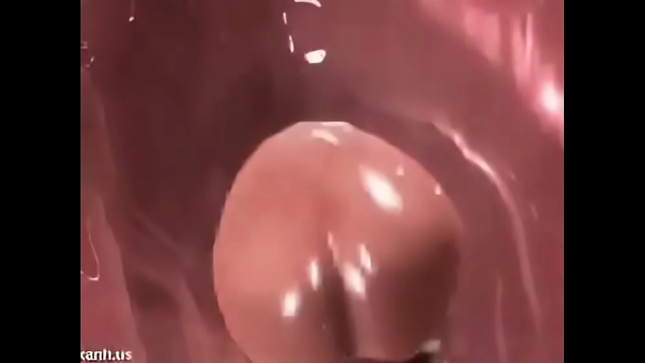 3D Hentai Fucking Scene