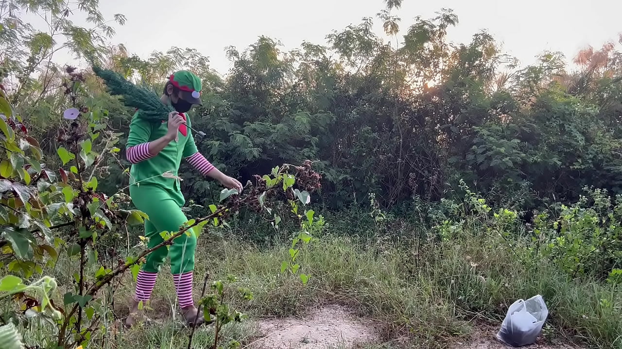 Elf find ChristmasTree