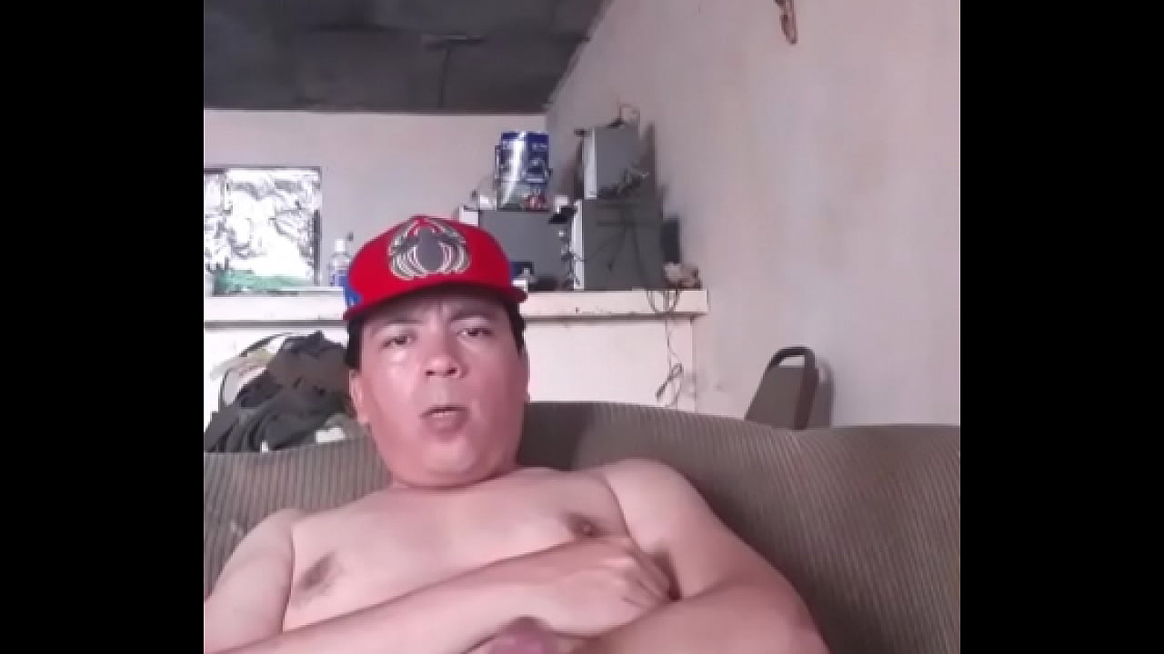 polla grande, latino