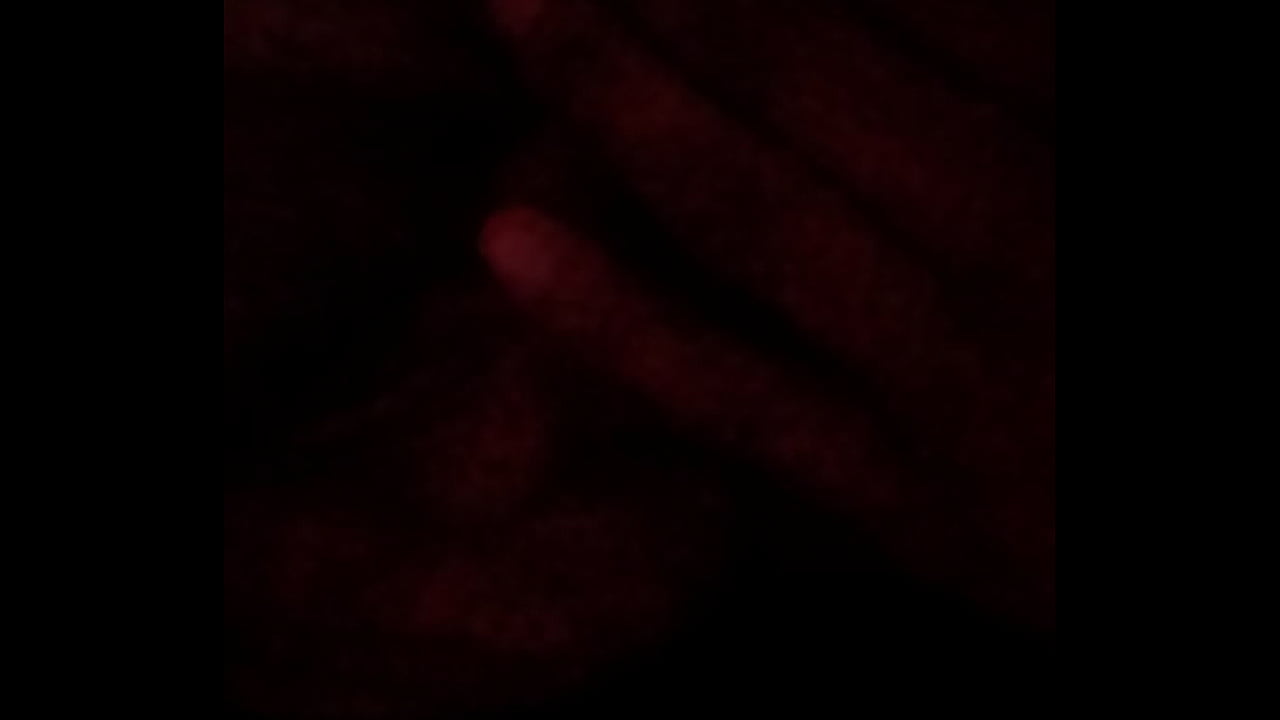 Chupada para arrancar el d&iacute;a...