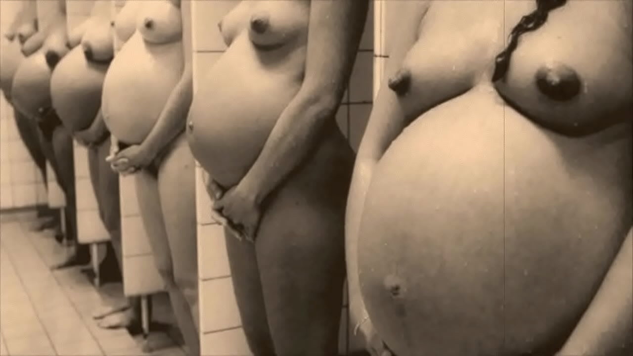 'Retro Pregnant Babes' The Sexual Memoirs of an English Gentleman