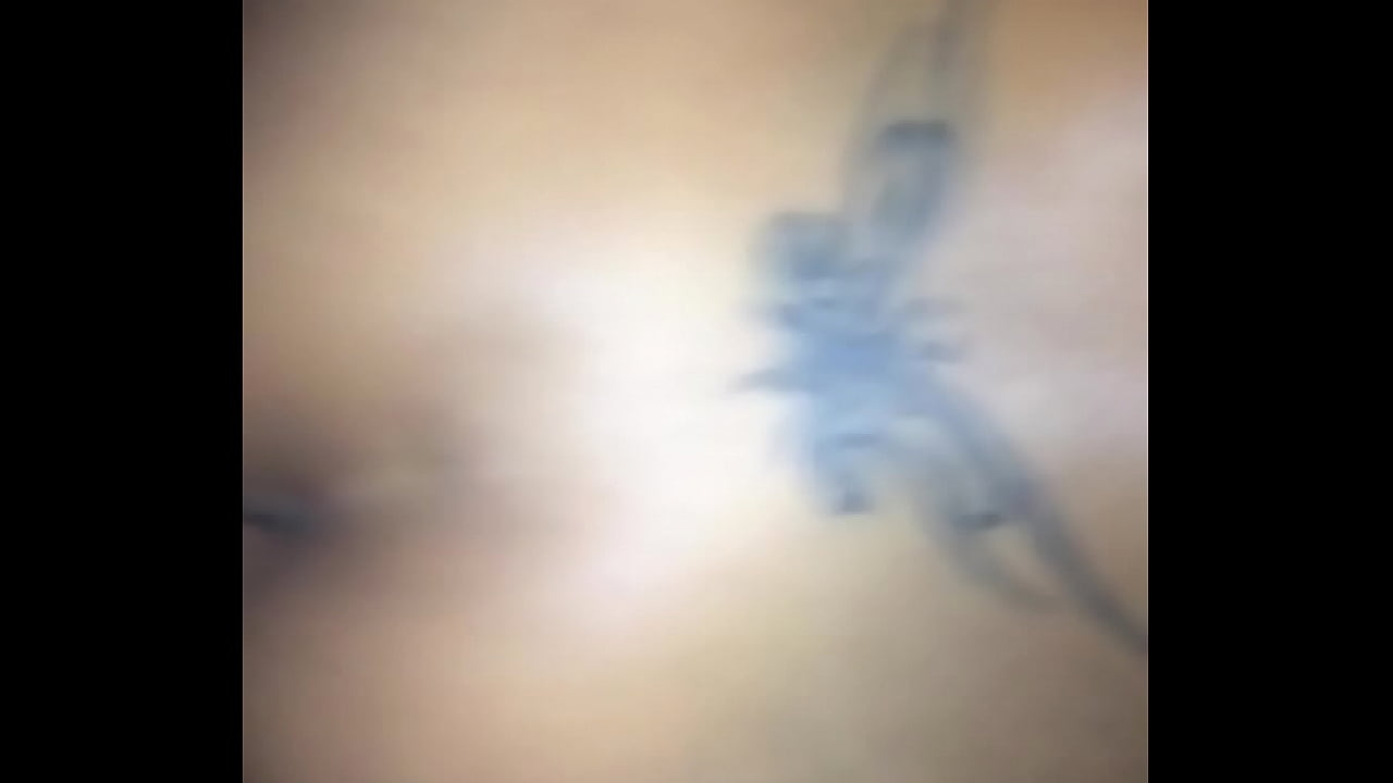 Aunque tus gemidos me indican que lo est&aacute;s disfrut&aacute;ndo, tu humedad me gu&iacute;a