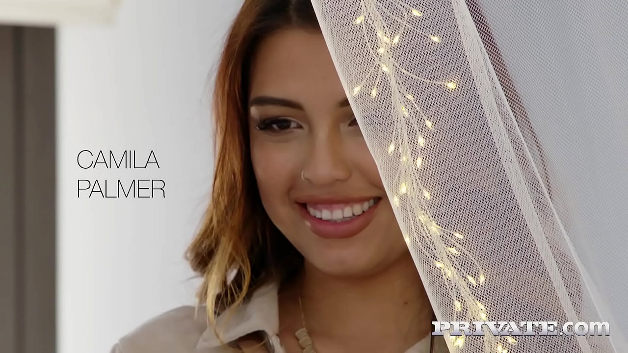 Camila Palmer, Maid with a Plan