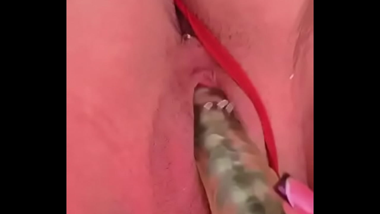 NUEVAAMIGA2 CHIHUAHUA CHIH