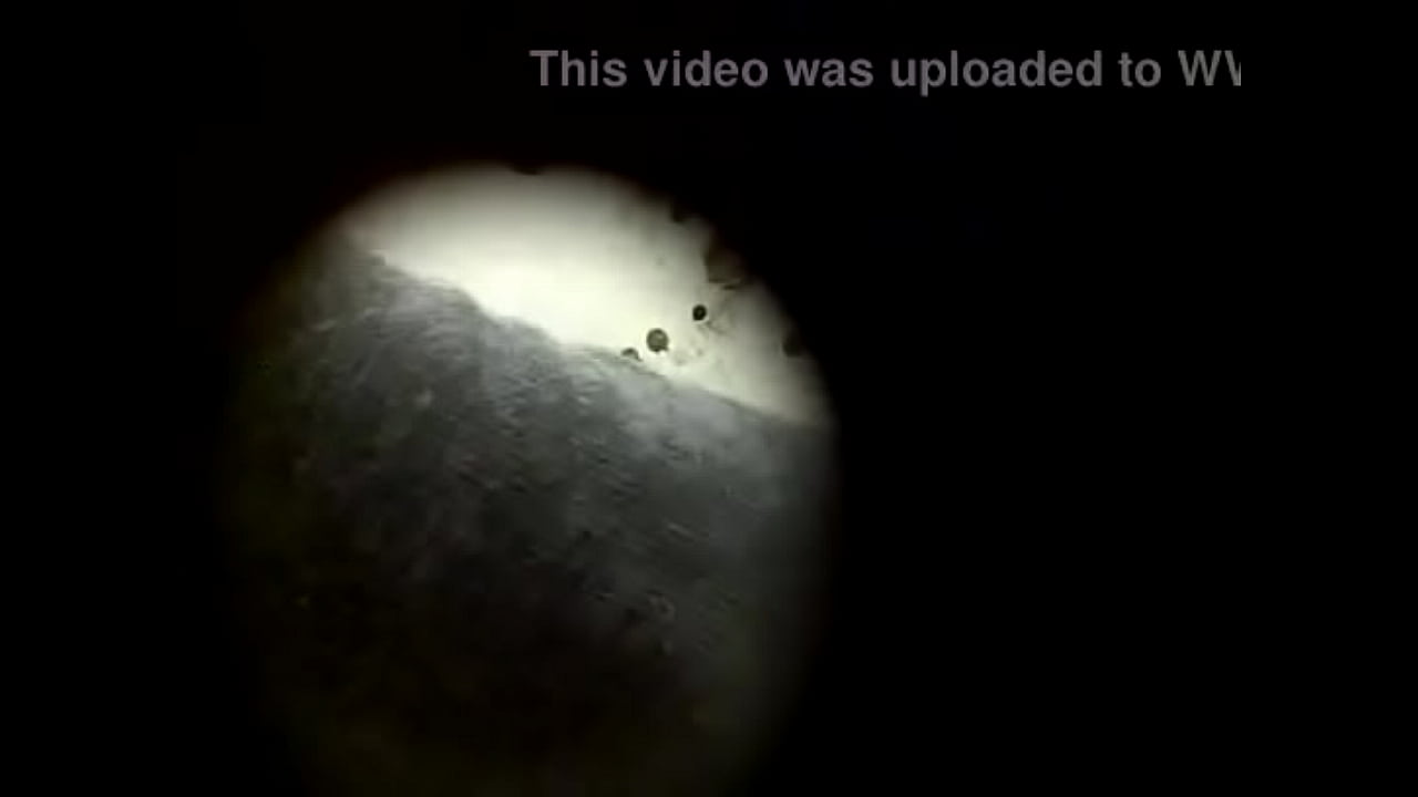 xvideos.com 4d27a6caaca5351211b38cc8a572037f