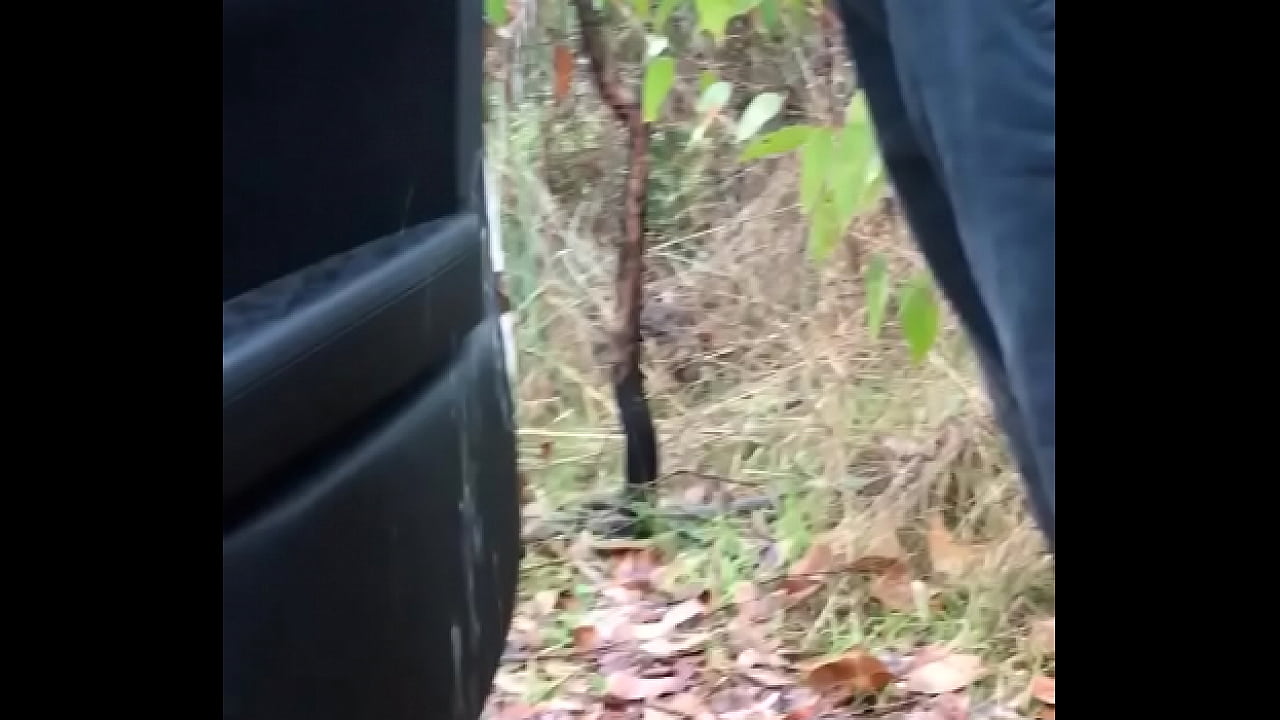 trim.8919159B-0469-4E6F-B4B0-3F7A1B079072.MOV