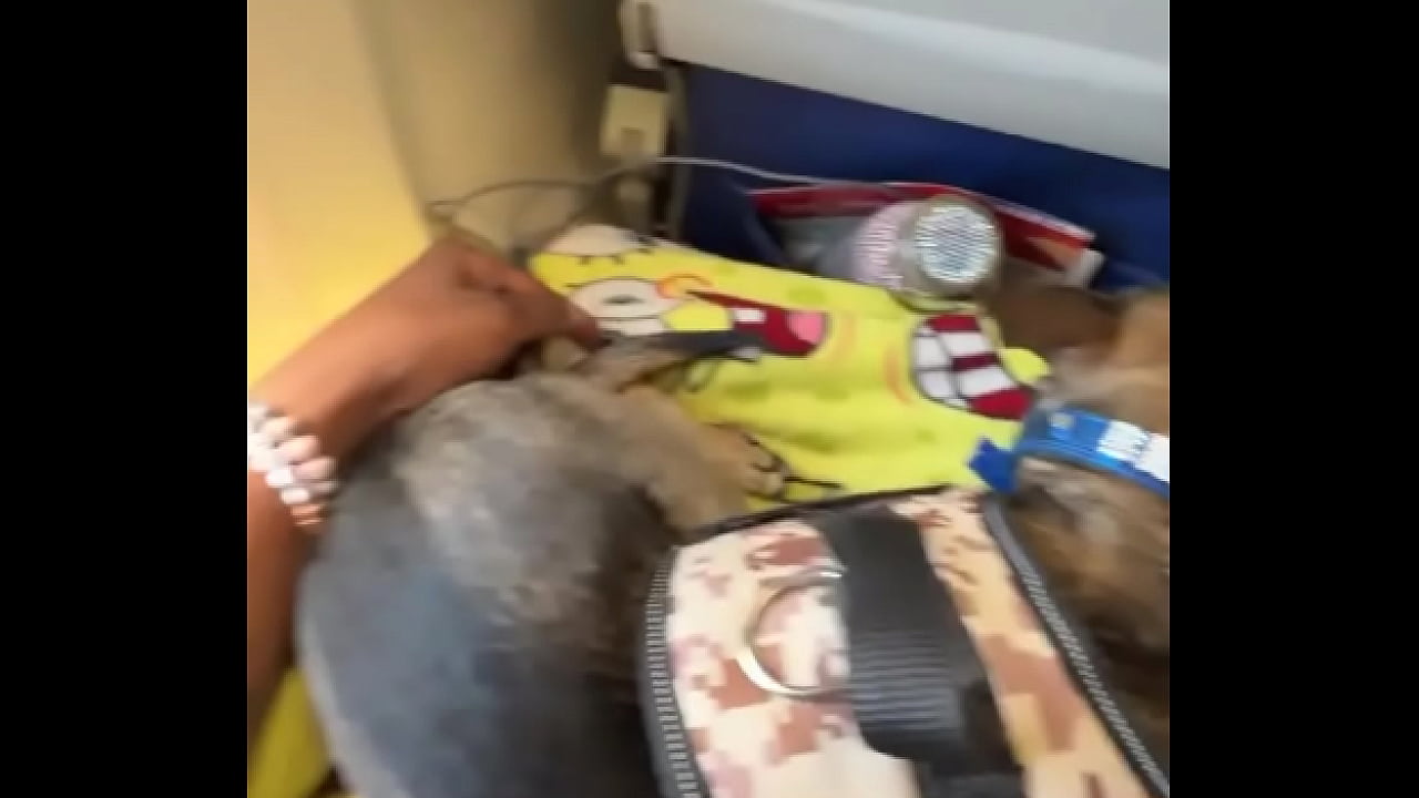 Miami  LAVegas PhoenixJacksonville Fl up next ️