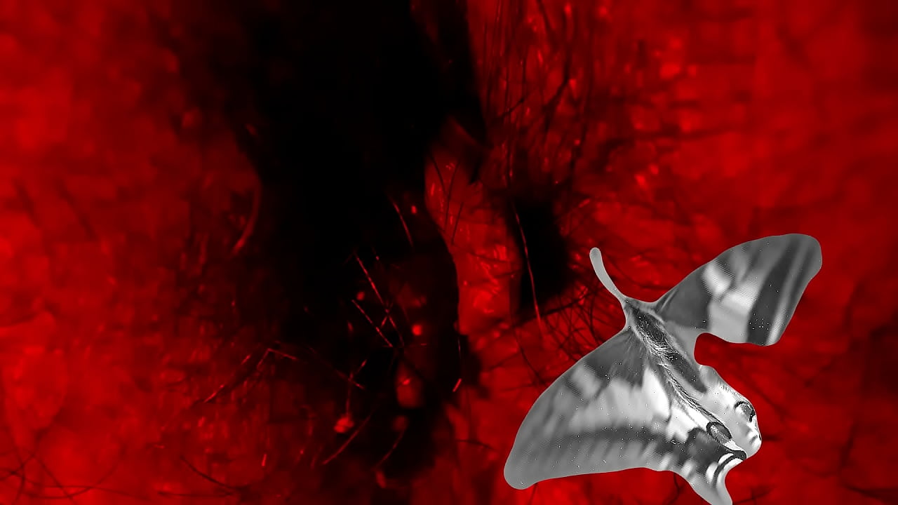 no s&eacute; lo que me pasa contigo