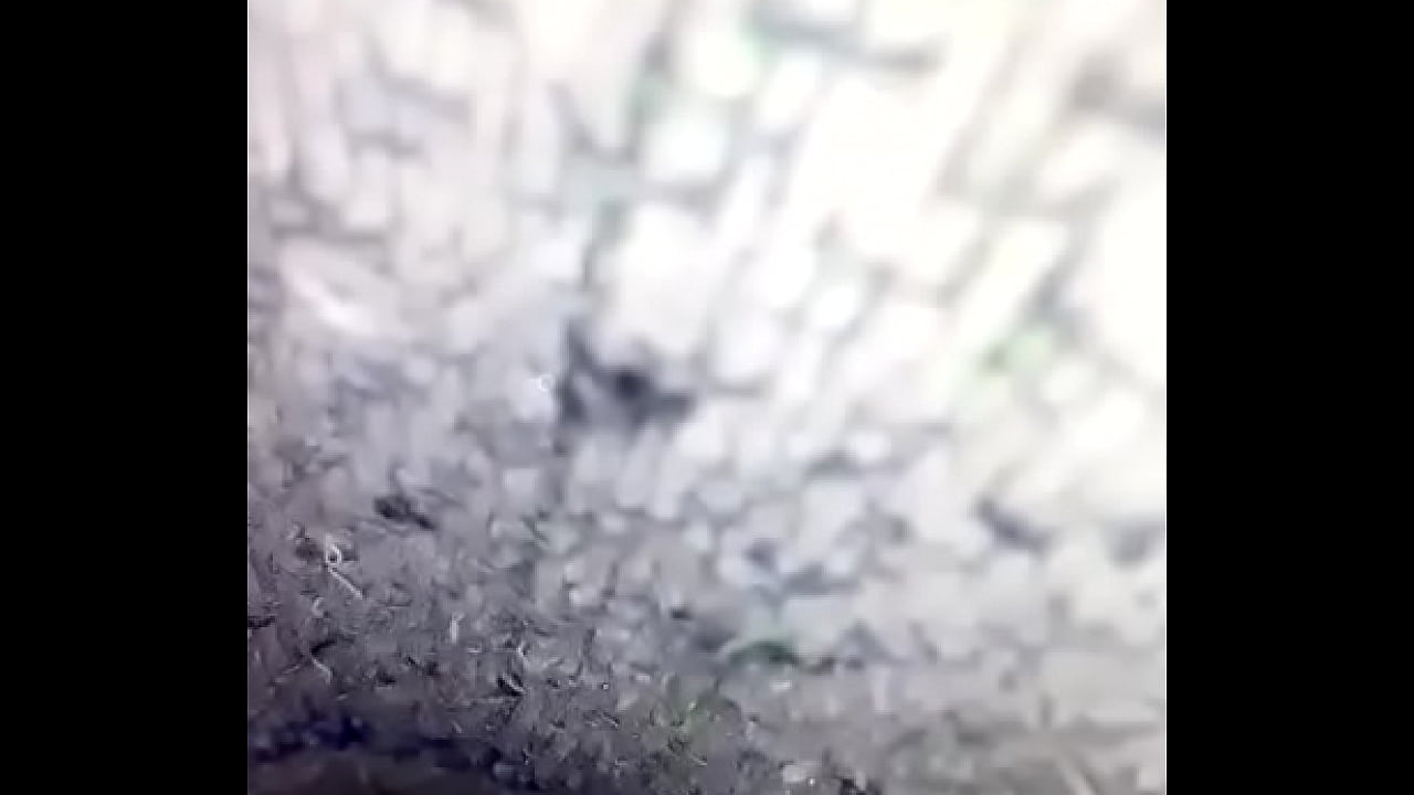 Masturbandome con las bragas de mi hermana