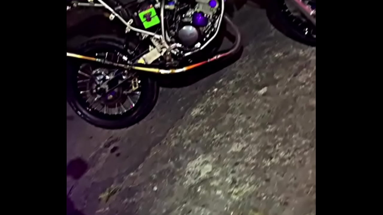 La detonamos en la bichas miedo