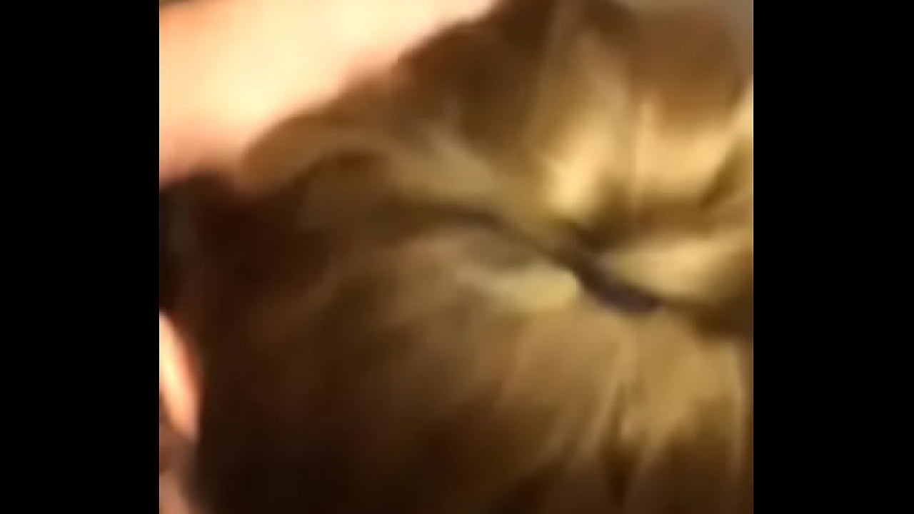 W&auml;hrend der Fr&uuml;hschicht Kollegin bl&auml;st mir einen im Lager