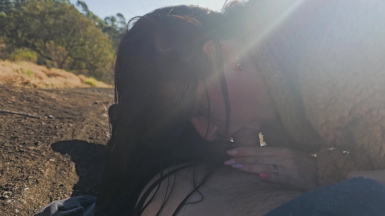 Guia tur&iacute;stico most pau pa turista na montanha