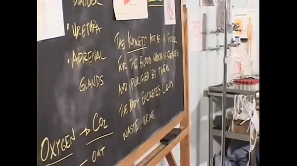 Fuck stick rodeo after doggie from lustful Kim