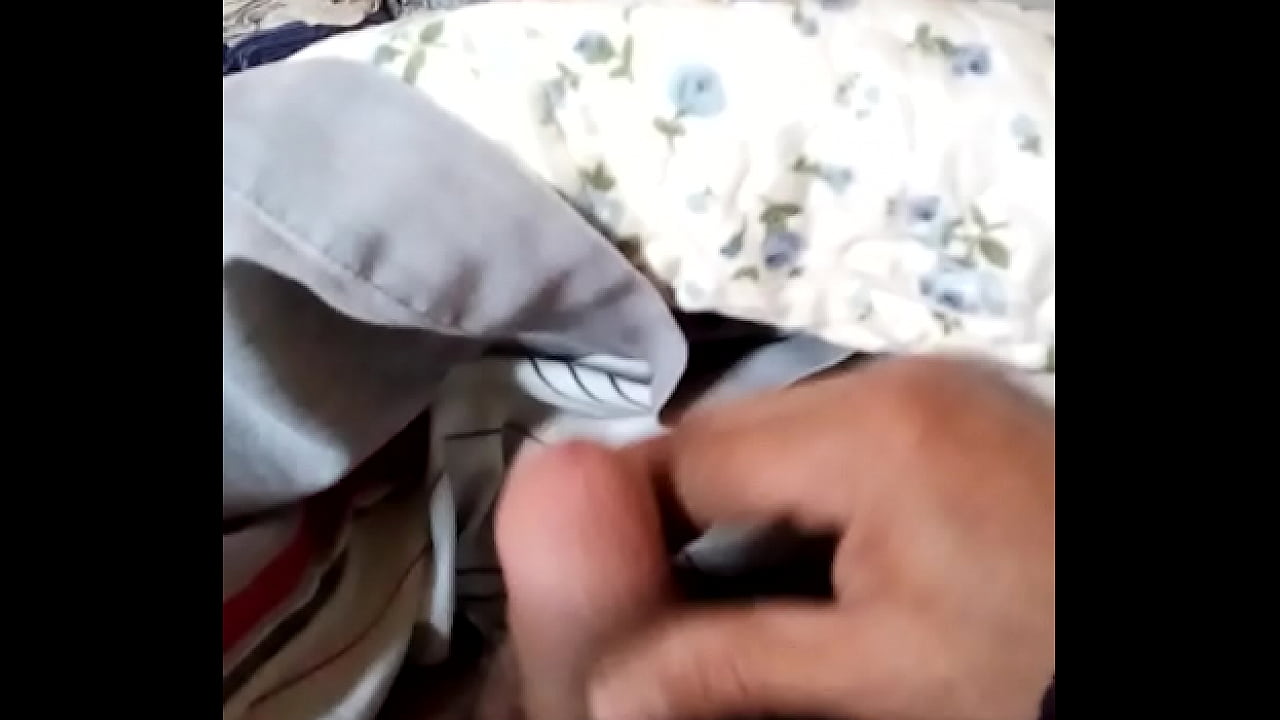 Me fascina mostrarles