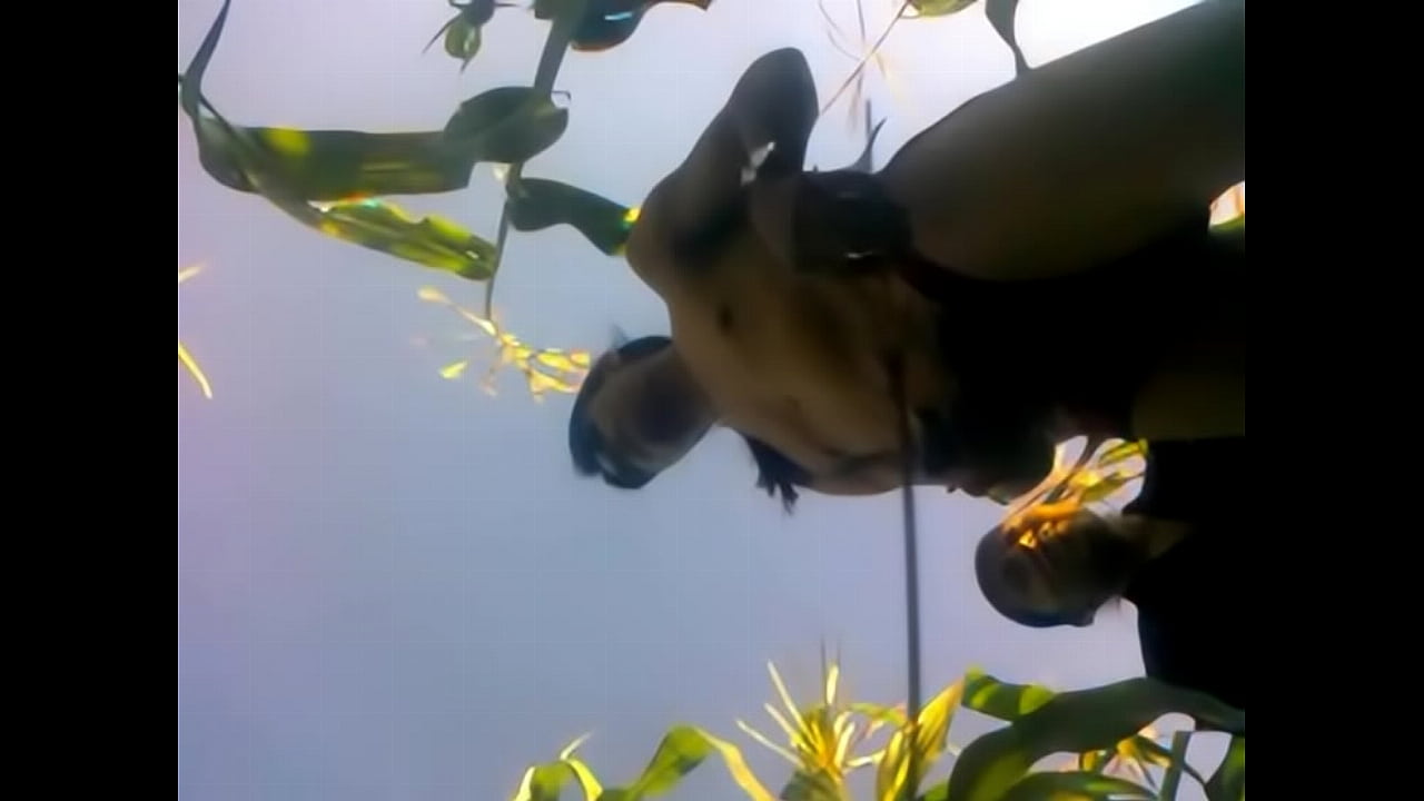 chino de san sebastian zinacatepec