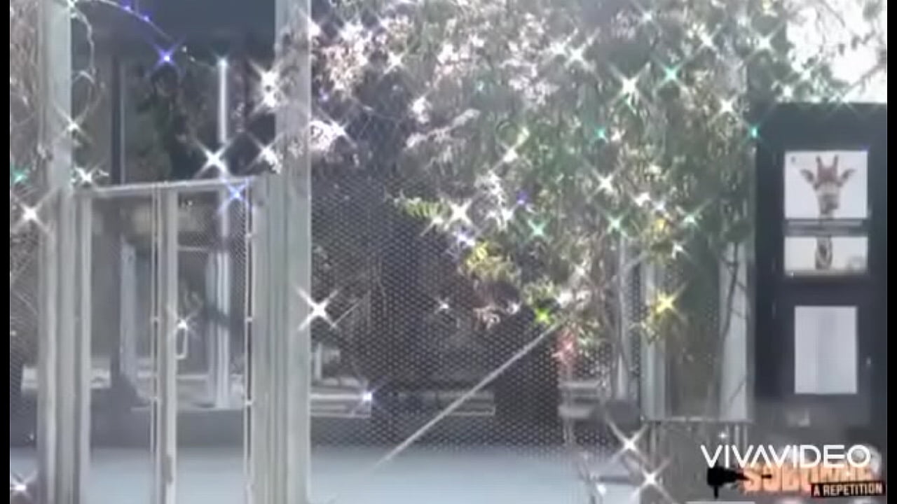 Khloe breaks Snake Halloween