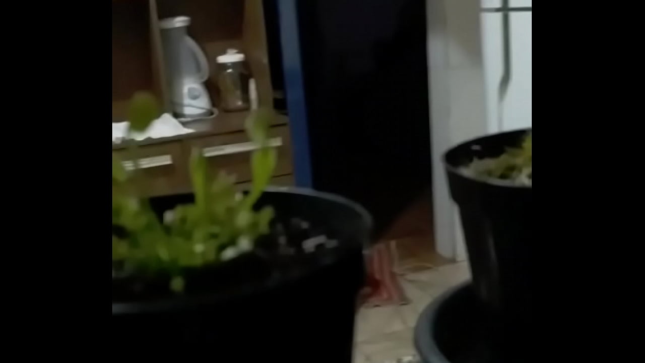 Cheguei mais cedo em casa e olha s&oacute;