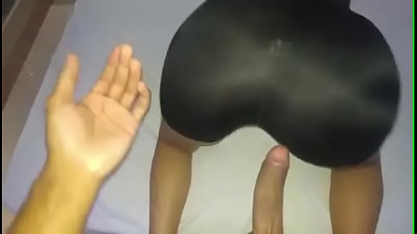 Rabuda apanhando para treinar