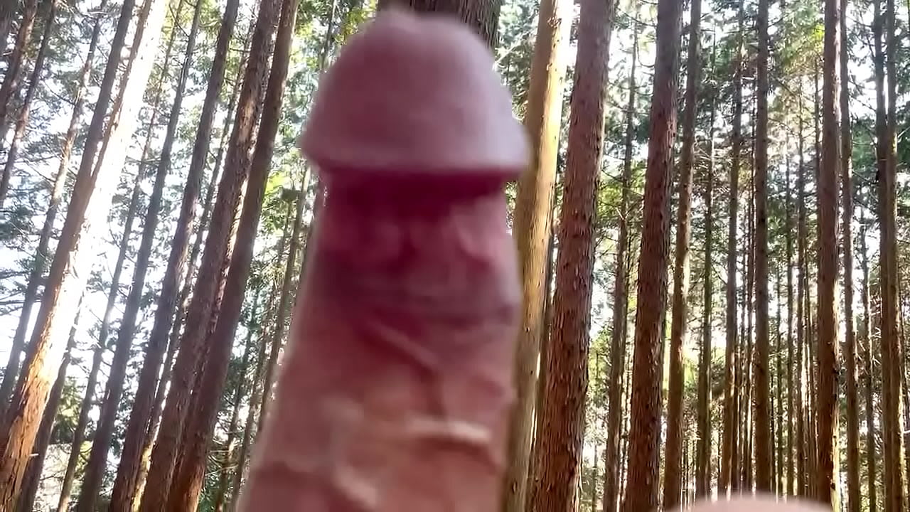 japanese 22years old penis