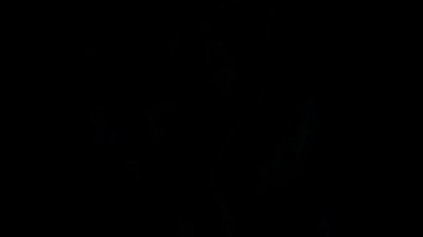 FatThoCoo masturbation