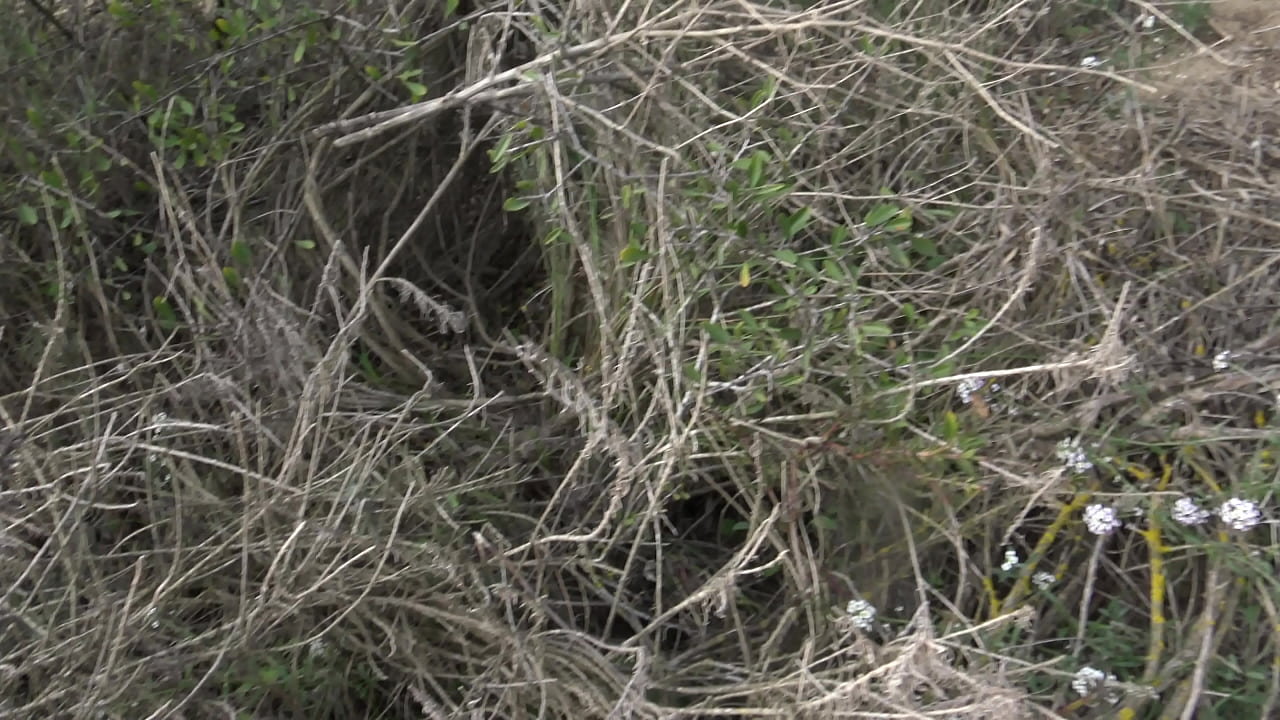 french stepmom pissing in front of her 18 year old stepson