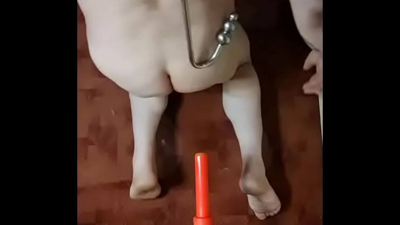 i want two cocks fucking my anal pussy