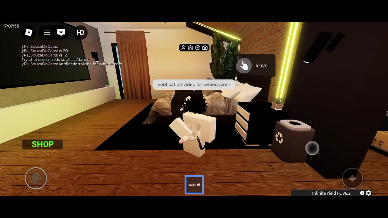 V&iacute;deo de verifica&ccedil;&atilde;o