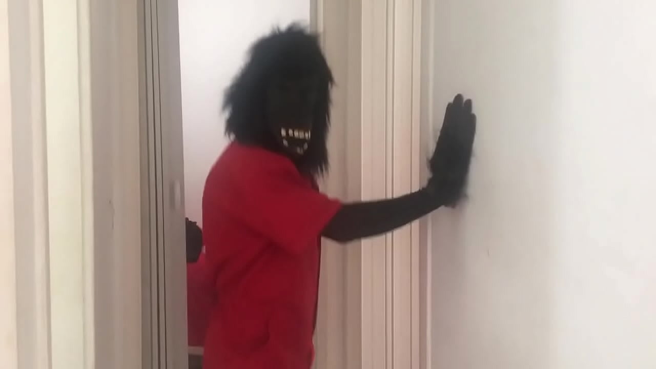 O macaco da professorinha