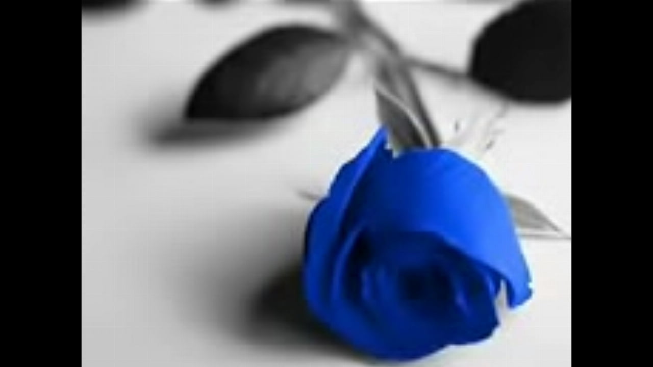 MICHAEL BOLTON, Said I loved you but I lied,  SUBT