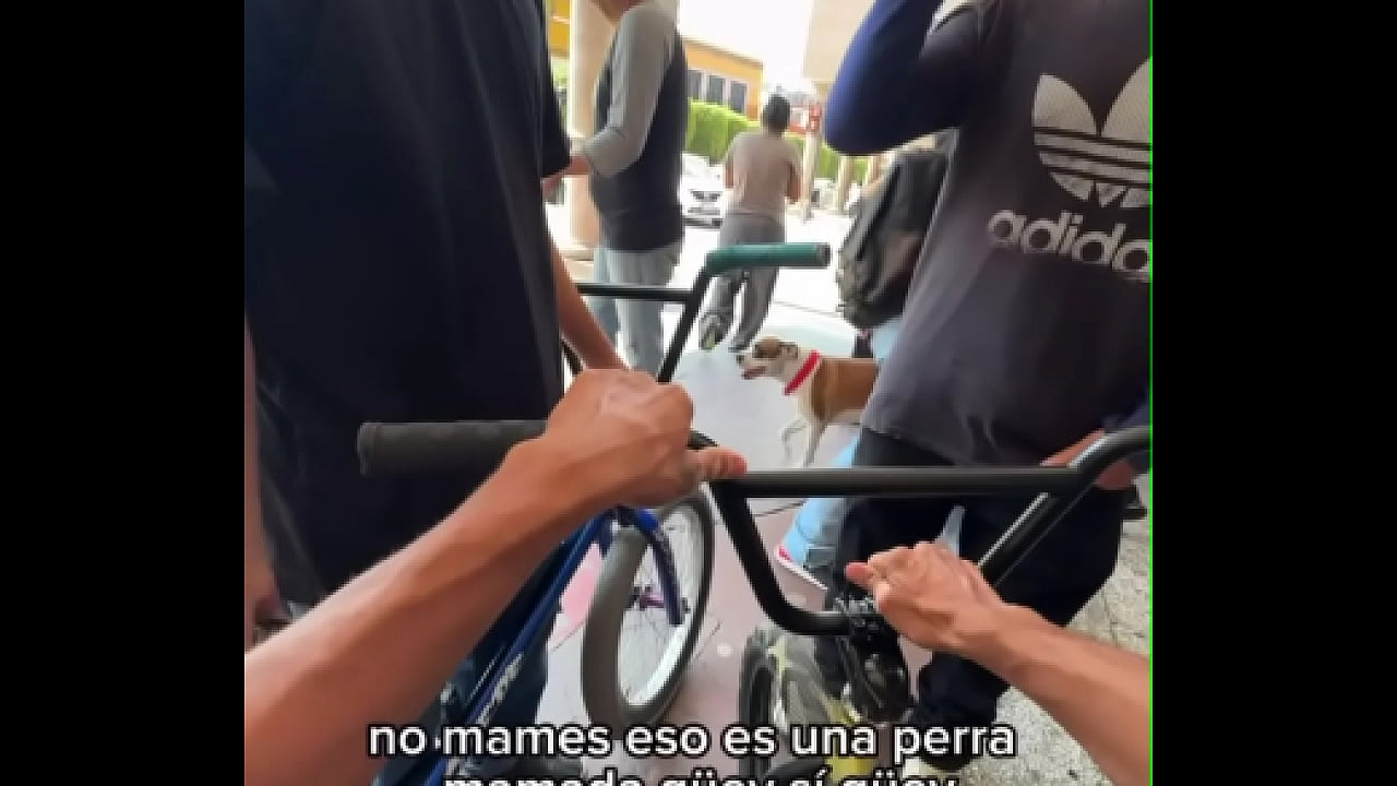 Traviesa traste grande detonanda