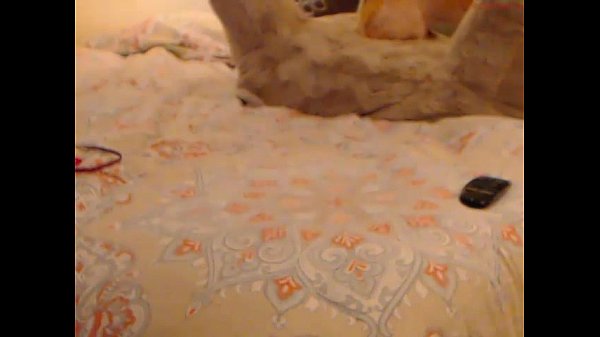 jasminebellxxx american whore chaturbate