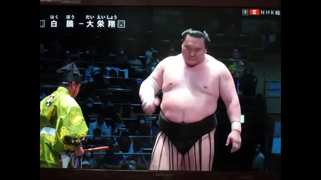 やっぱり白鵬ちゃんは八百長相撲なんだね？