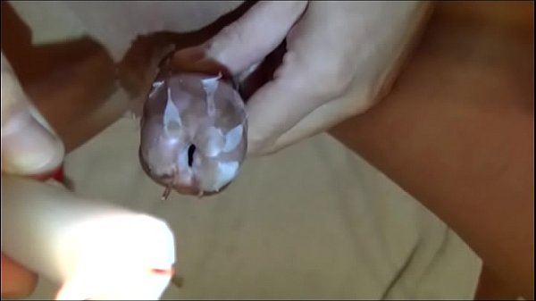 Filling peehole full with wax