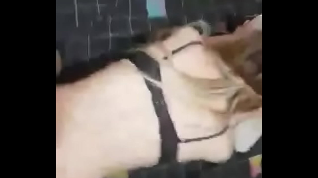 hot doggy with horny trans