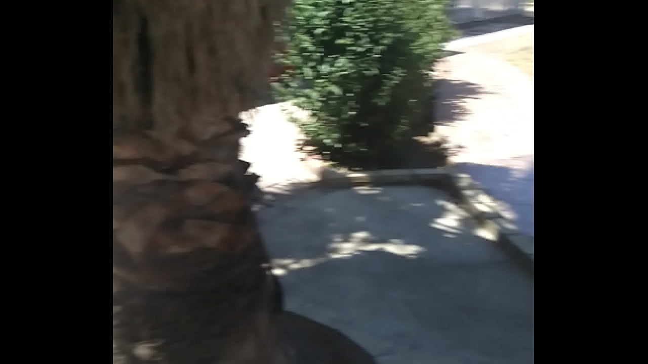 AnalEbony's Christmas message