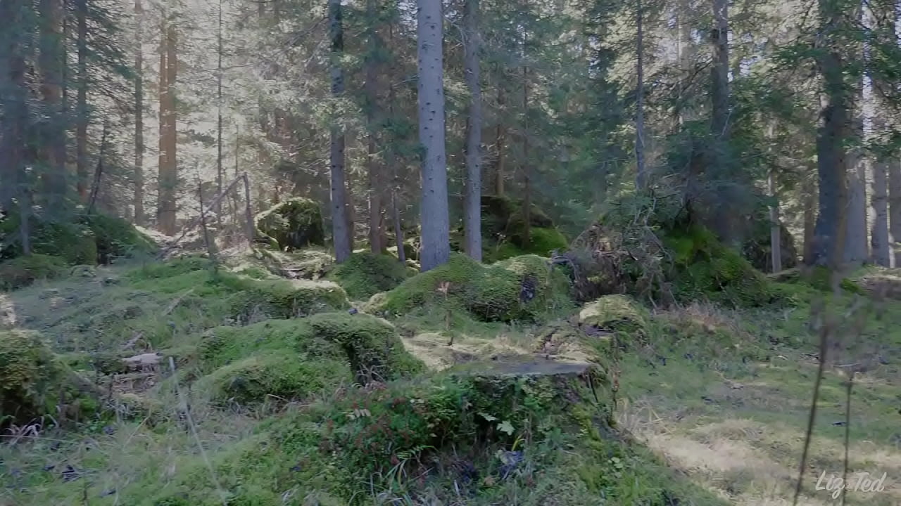 sex in public on the lawns