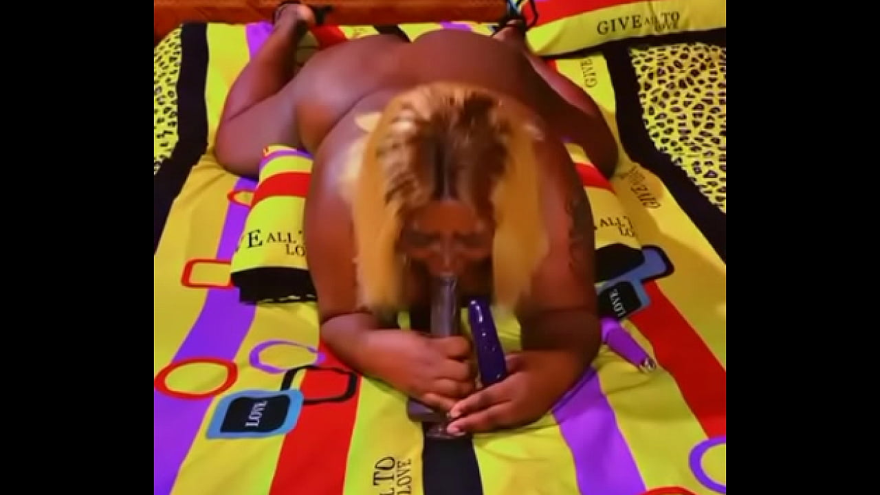 Sundaydogood614 - update #589 - VID 20241103 121322 - Nov 03, 2024