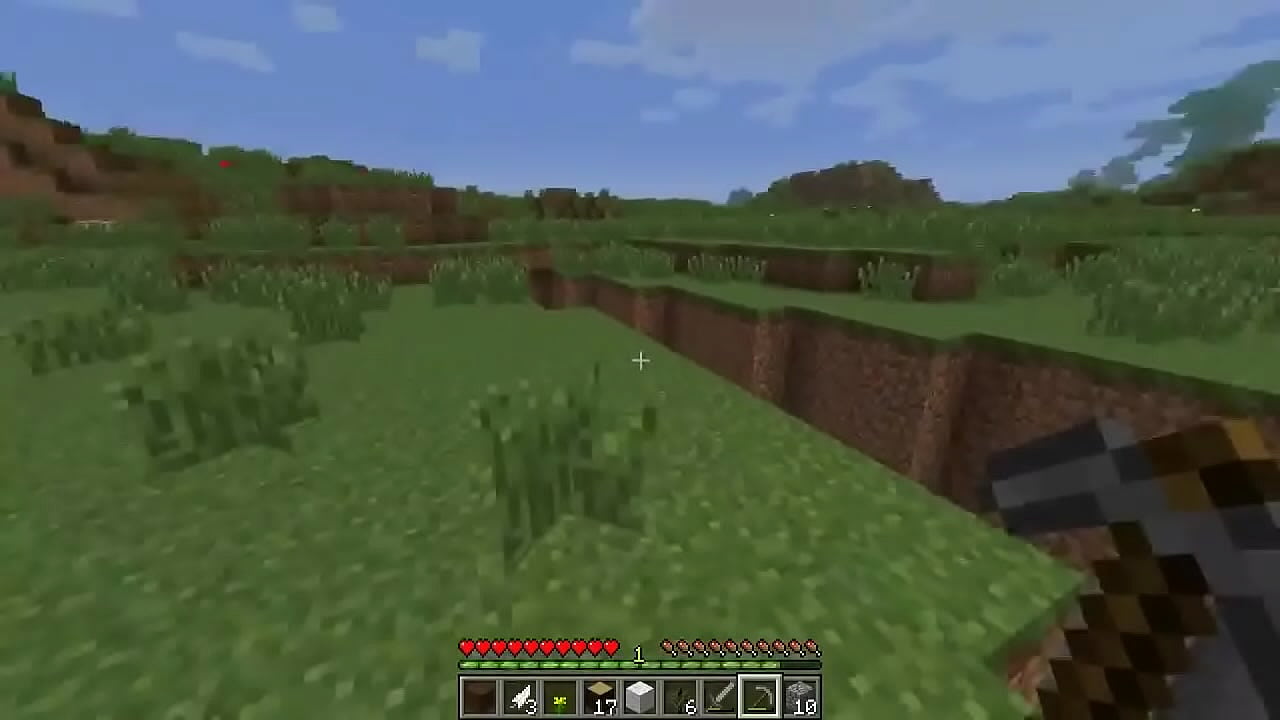 Vinicius 113 gozinha