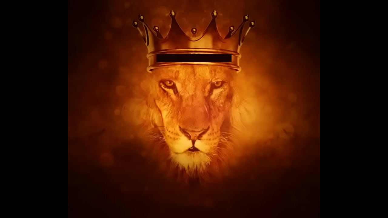 Ez Le&atilde;o , Lion.