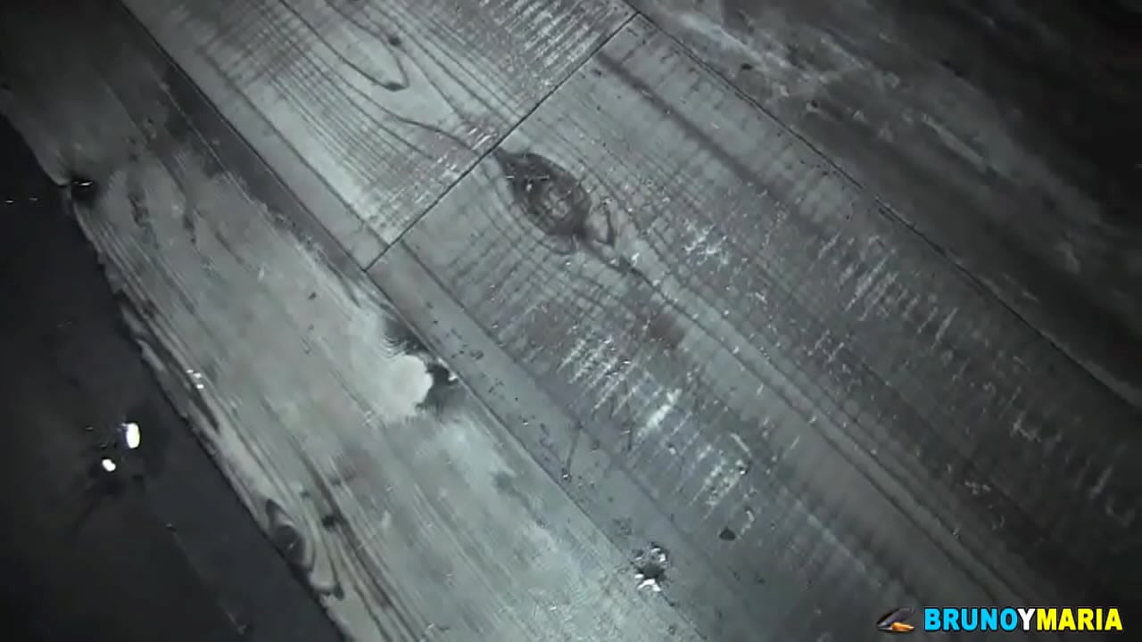 &iexcl;DANIELA VOLVER&Aacute; A DEMOSTRARNOS PORQU&Eacute; LA LLAMAN "LA REINA DEL SQUIRTING"!