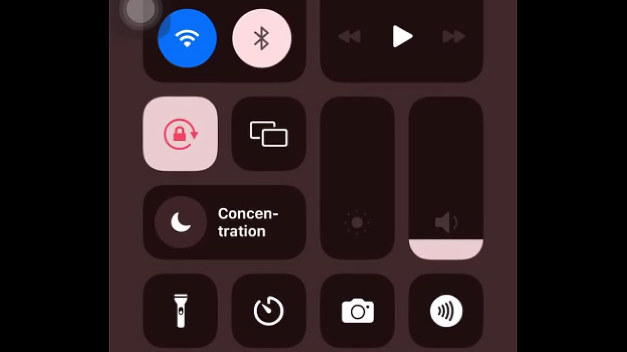 Video de v&eacute;rification