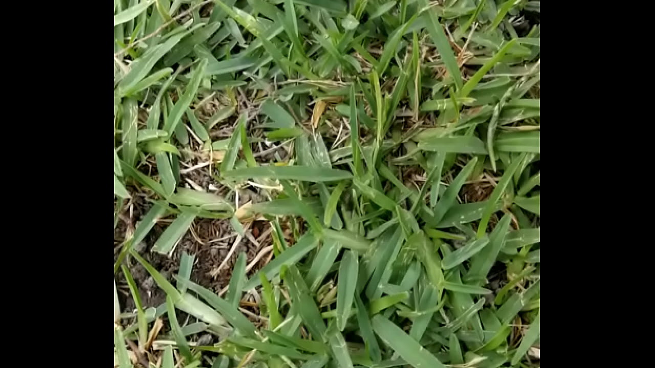 debajo de la falda de una con hilo