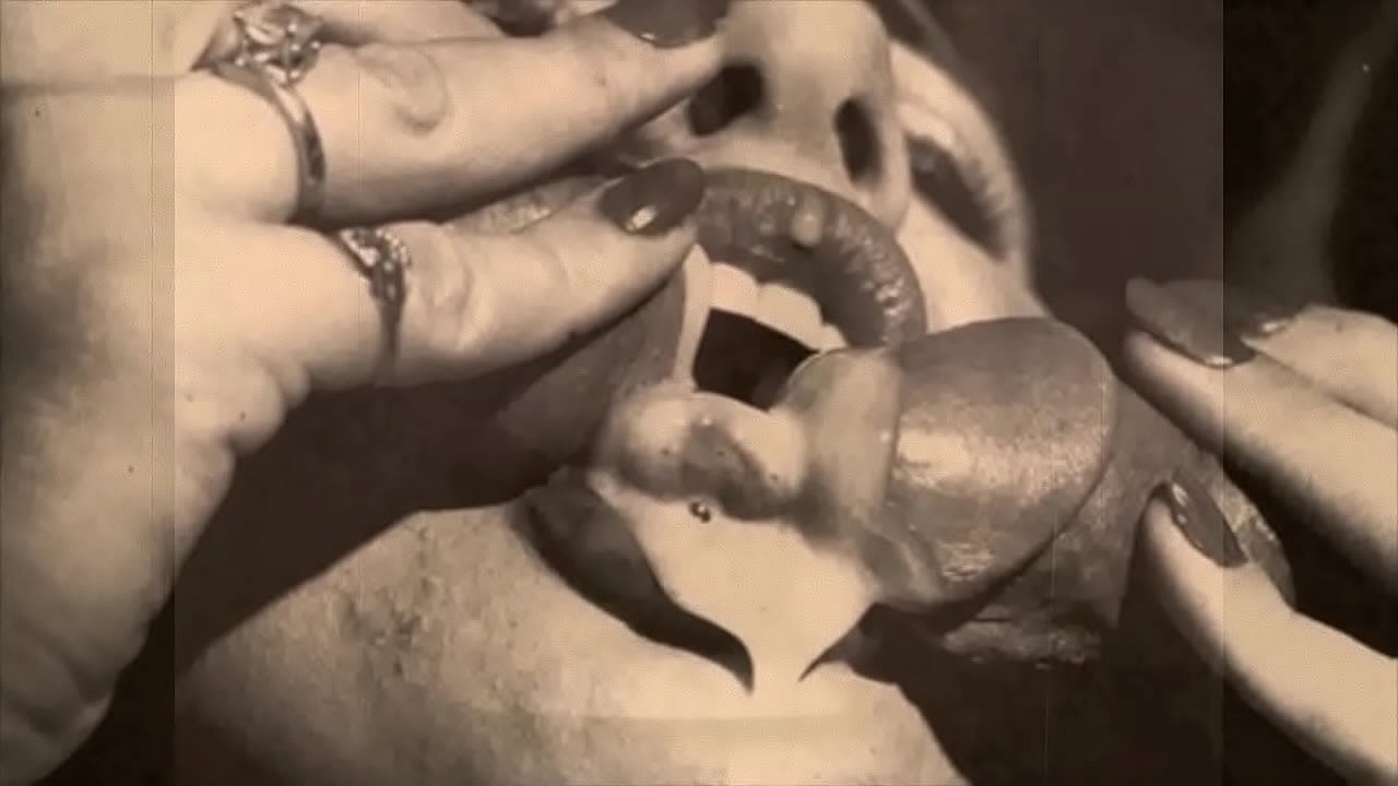 'Vintage Close Up' from My Secret Life, The Sexual Memoirs of an English Gentleman