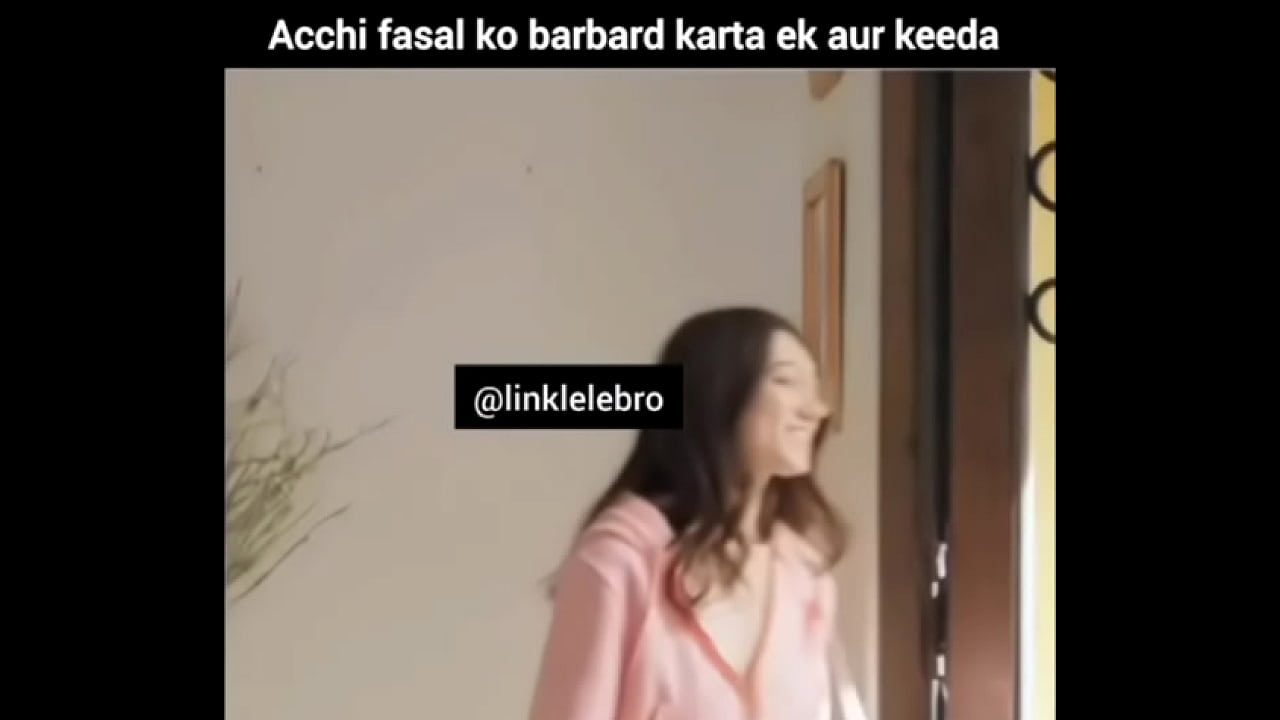 वेरीफ़िकेशन विडियो