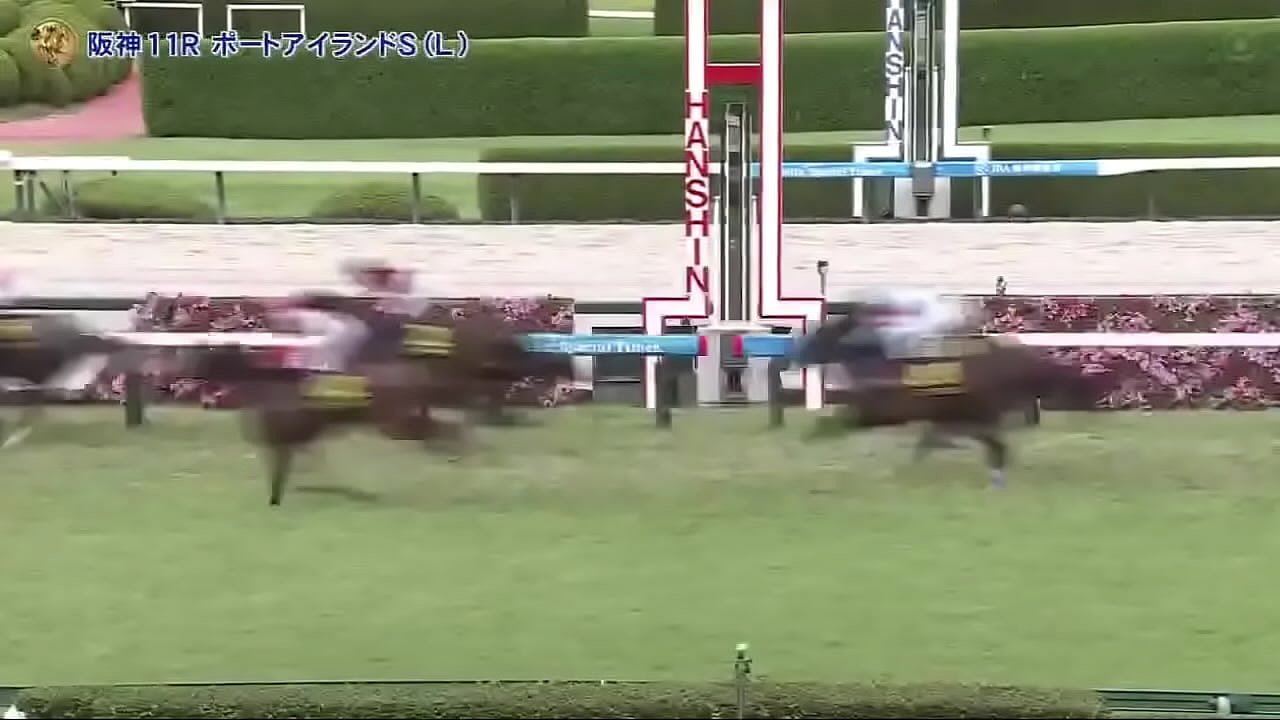 スプリンターズステークス　三浦皇成　ウインカーネリアン