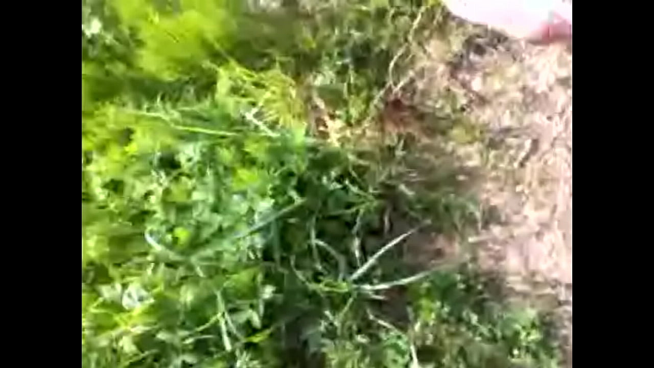 Christofer D&ouml;ss Sexual Exhibitionist