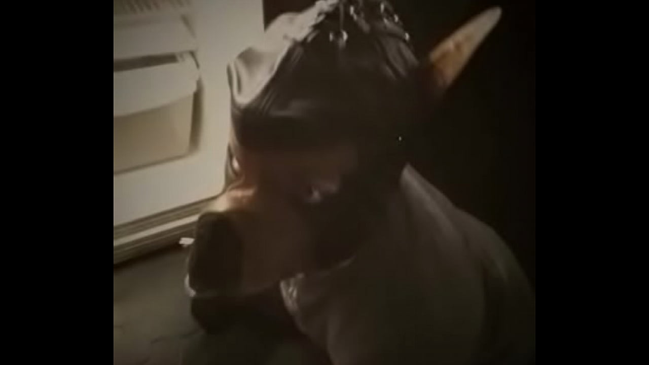 Miss Jane Jett and her puppy boy - part 2-2