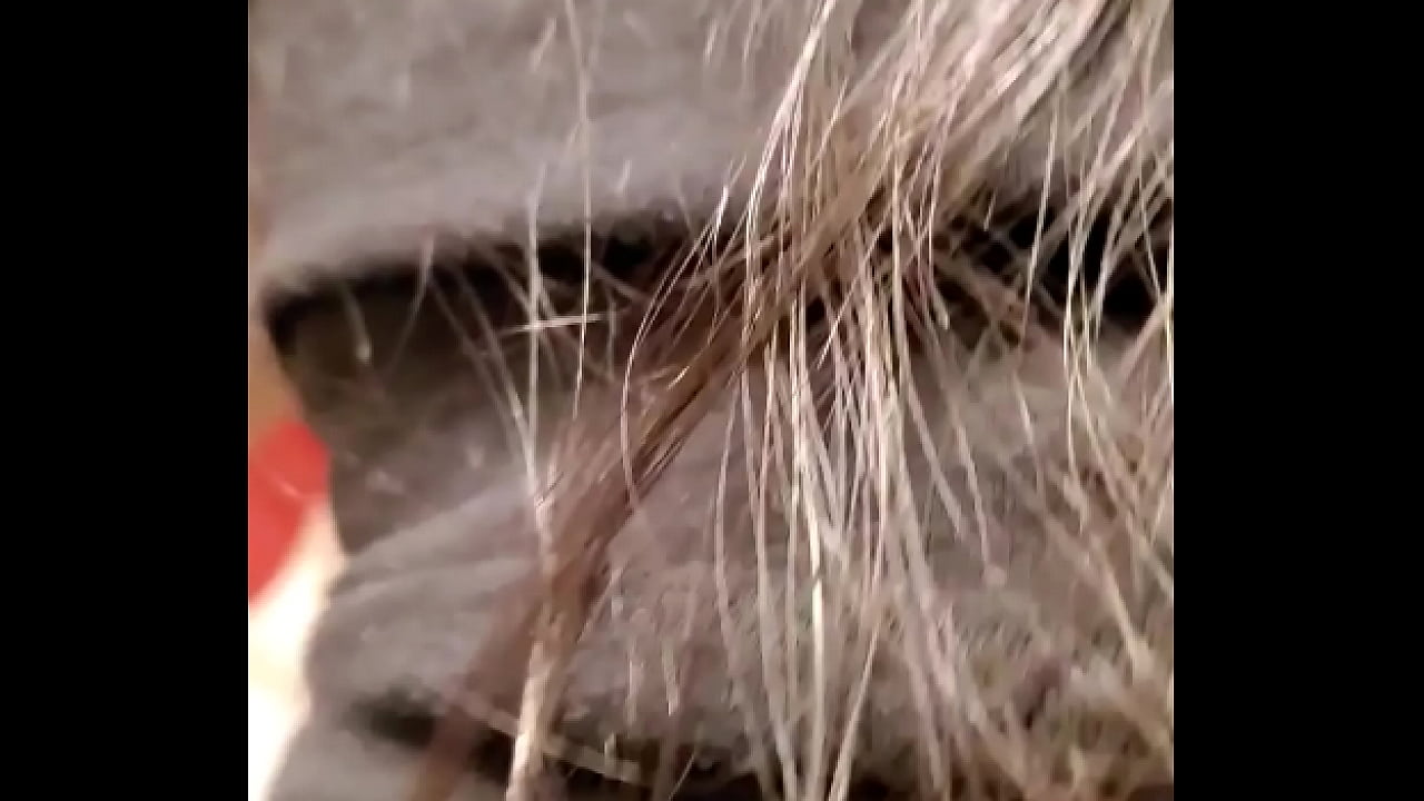 Honey Domingo fuck in ass hard love long time