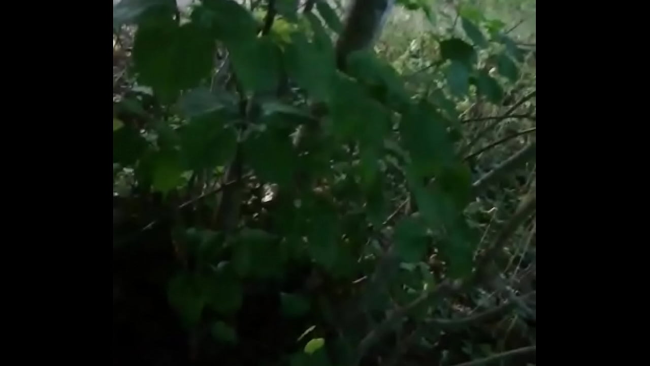 Doggystyle in the wood